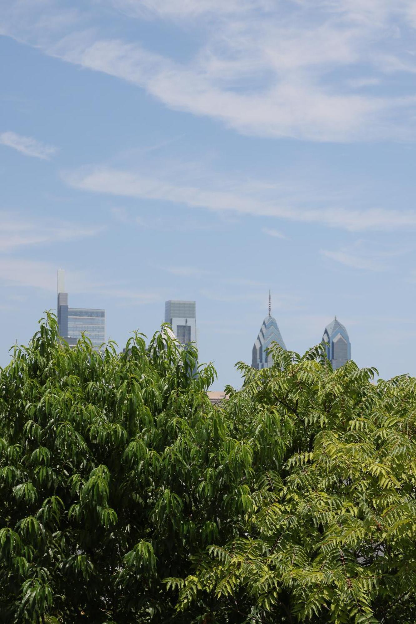 Peaceful Zen Getaway In The City Philadelphia Exterior foto